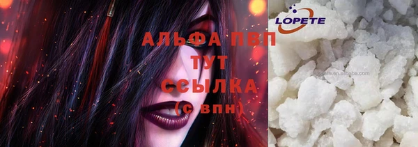 мдпв Бородино