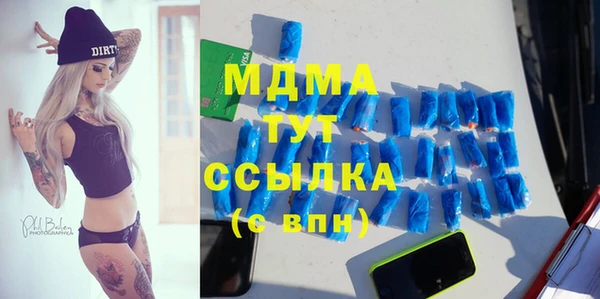 прущие грибы Богданович
