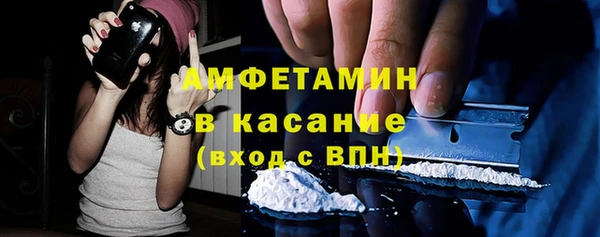 прущие грибы Богданович