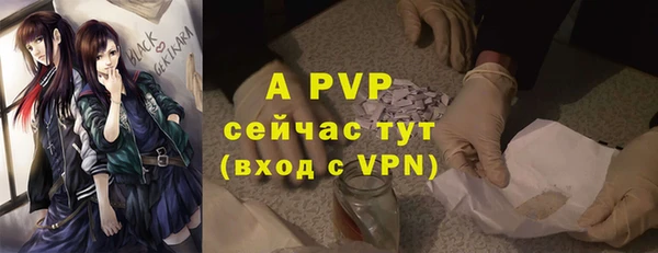 прущие грибы Богданович