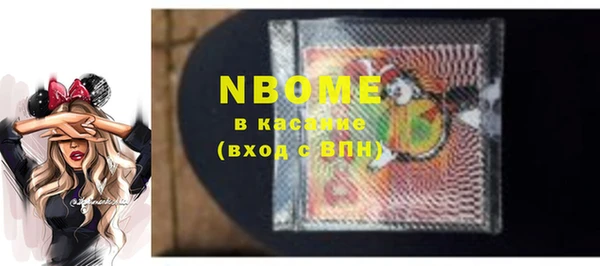 прущие грибы Богданович