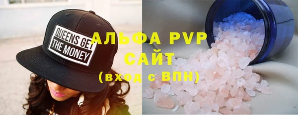 прущие грибы Богданович