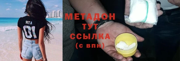 прущие грибы Богданович