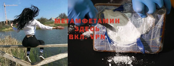 прущие грибы Богданович