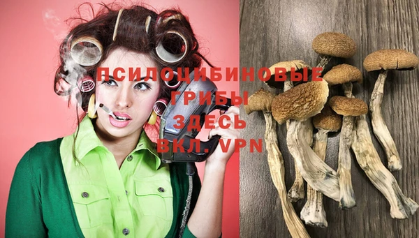 ешки Богородицк
